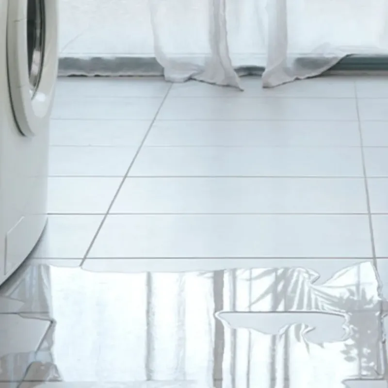 Appliance Leak Cleanup in Lamboglia, PR